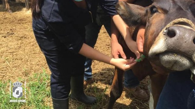 Ingeniero Agrónomo Zootecnista Colegio Español del Sureste