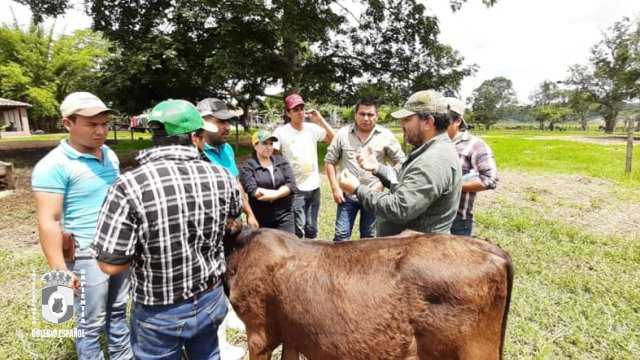 Ingeniero Agrónomo Zootecnista 