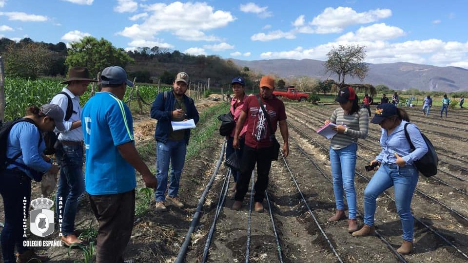 Ingeniero Agrónomo Zootecnista