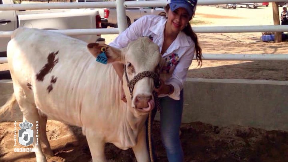 Ingeniero Agrónomo Zootecnista