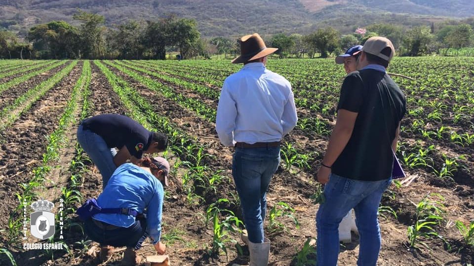 Licenciatura en Ingeniero Agrónomo Zootecnista Colegio Español del Sureste