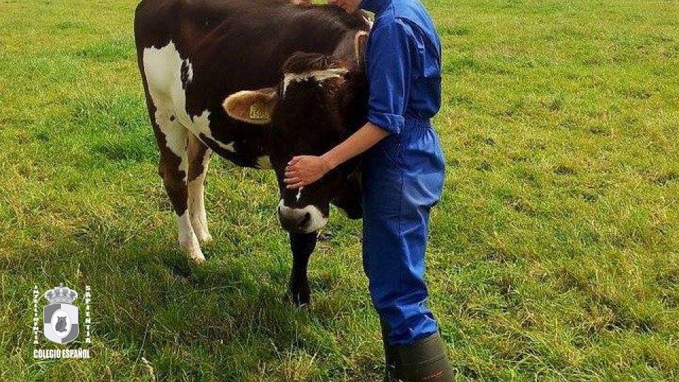 Ingeniero Agrónomo Zootecnista