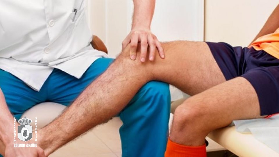 Licenciatura en Fisioterapia