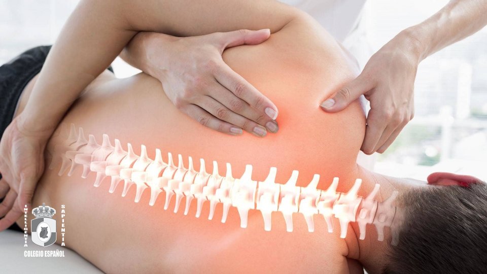 Licenciatura en Fisioterapia